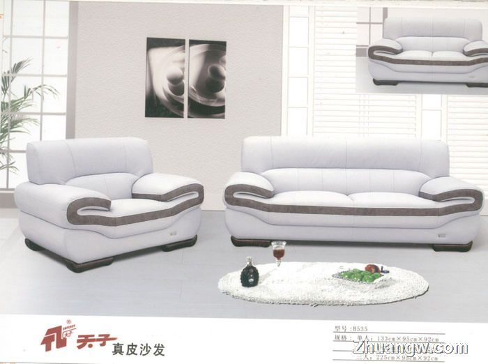 天子沙發(fā)家具圖片(九) 匠心工藝，盡顯客廳典雅風(fēng)范